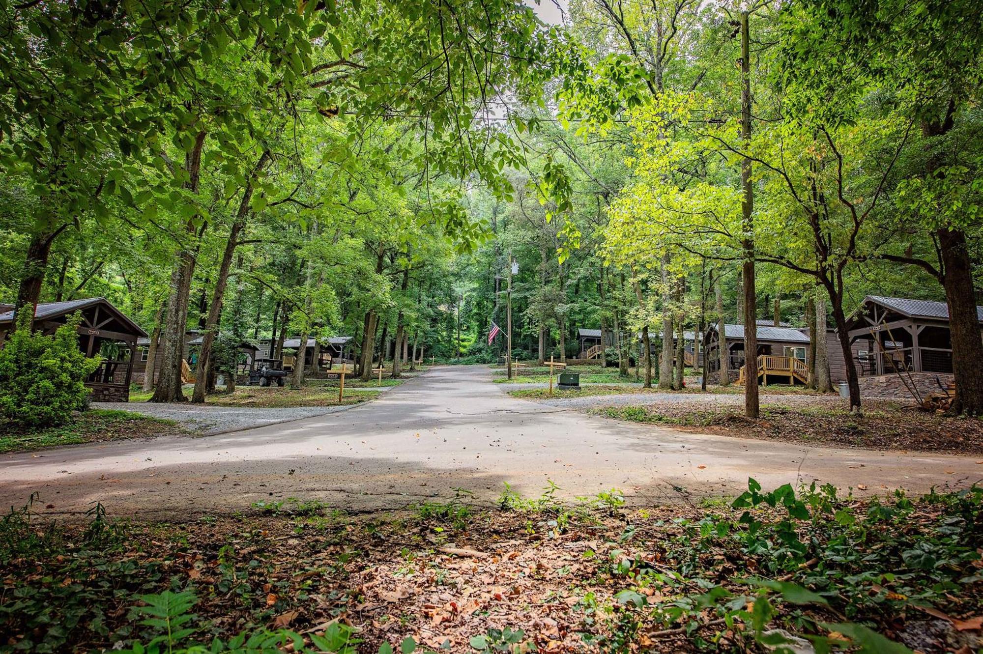 Martha Cabin Tiny Cabin By Downtown Τσαττανούγκα Εξωτερικό φωτογραφία